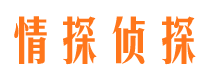 富宁寻人公司